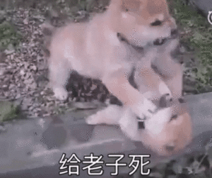 WEbOLc14.gif